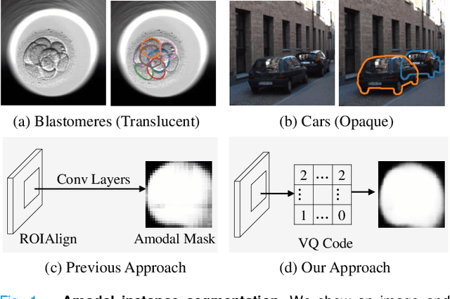 Figure 1 for Learning Vector Quantized Shape Code for Amodal Blastomere Instance Segmentation