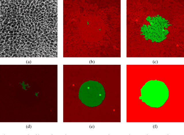 Figure 1 for Texture Fuzzy Segmentation using Skew Divergence Adaptive Affinity Functions