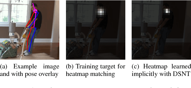 Figure 3 for Numerical Coordinate Regression with Convolutional Neural Networks