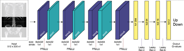 Figure 1 for Deep Reinforcement Learning for L3 Slice Localization in Sarcopenia Assessment