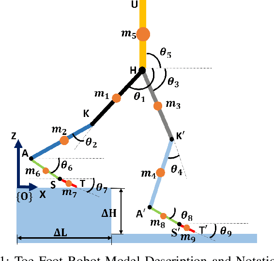 Figure 1 for Planning Brachistochrone Hip Trajectory for a Toe-Foot Bipedal Robot going Downstairs