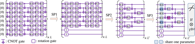 Figure 4 for Symmetric Pruning in Quantum Neural Networks
