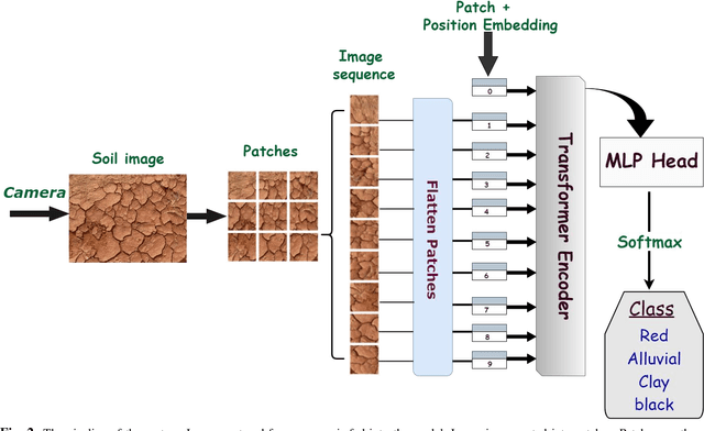 Figure 2 for Visual Transformer for Soil Classification