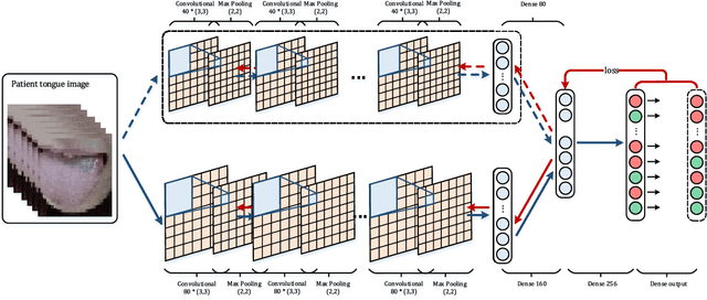 Figure 2 for Automatic construction of Chinese herbal prescription from tongue image via CNNs and auxiliary latent therapy topics