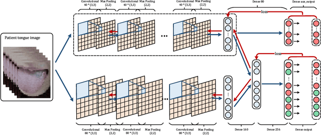 Figure 3 for Automatic construction of Chinese herbal prescription from tongue image via CNNs and auxiliary latent therapy topics