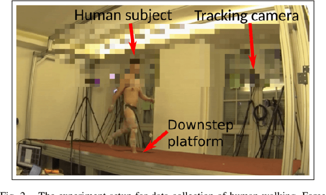 Figure 2 for From Human Walking to Bipedal Robot Locomotion: Reflex Inspired Compensation on Planned and Unplanned Downsteps