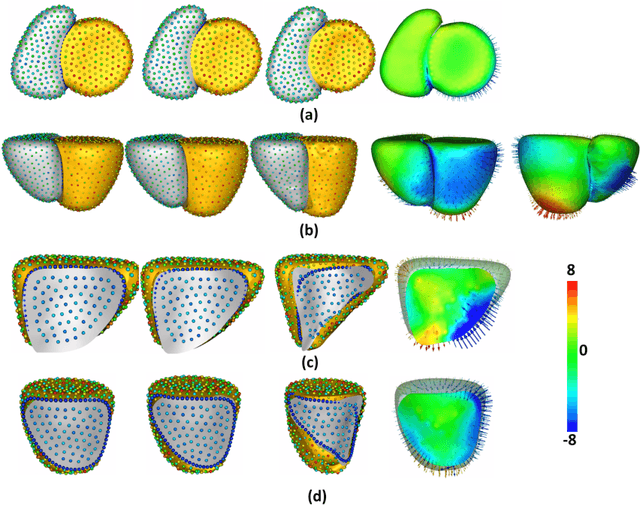 Figure 3 for Statistical Shape Modeling of Biventricular Anatomy with Shared Boundaries