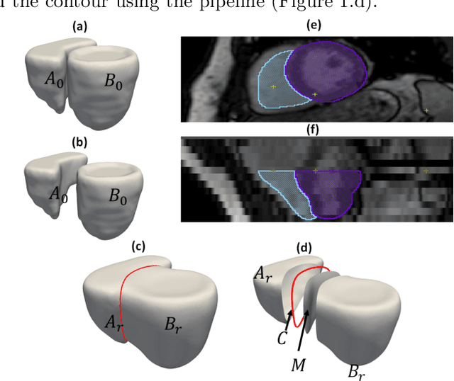 Figure 2 for Statistical Shape Modeling of Biventricular Anatomy with Shared Boundaries