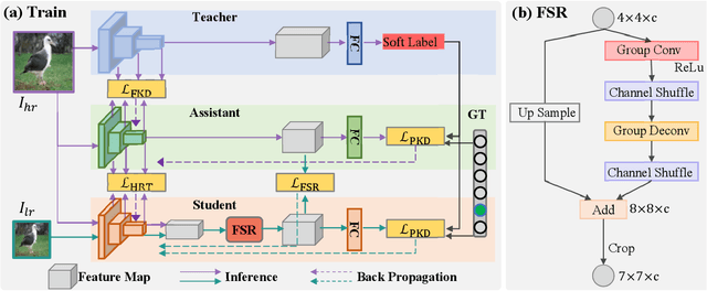 Figure 3 for Pixel Distillation: A New Knowledge Distillation Scheme for Low-Resolution Image Recognition