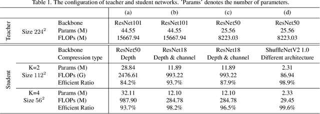 Figure 2 for Pixel Distillation: A New Knowledge Distillation Scheme for Low-Resolution Image Recognition