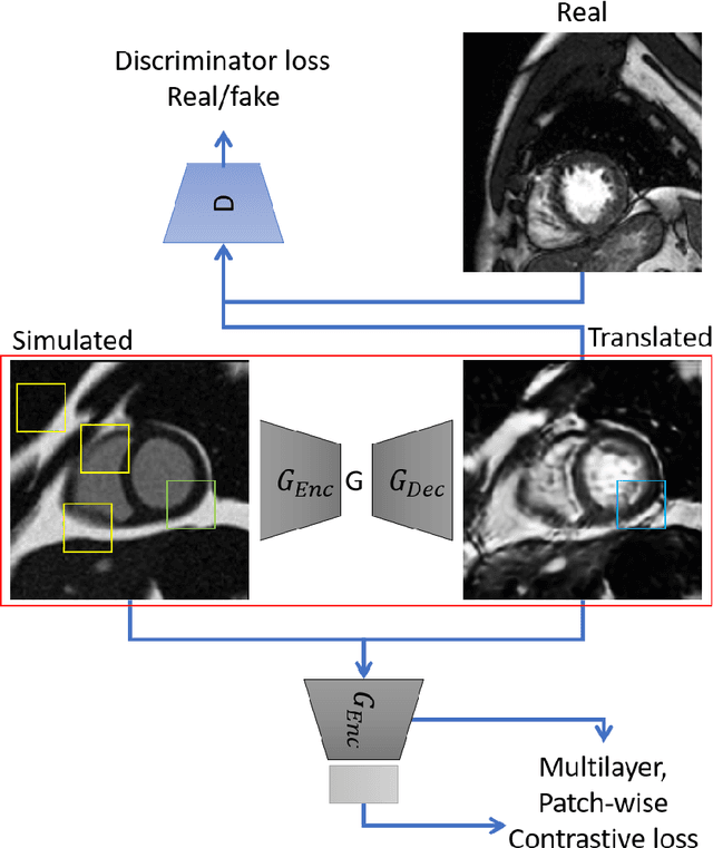 Figure 1 for sim2real: Cardiac MR Image Simulation-to-Real Translation via Unsupervised GANs