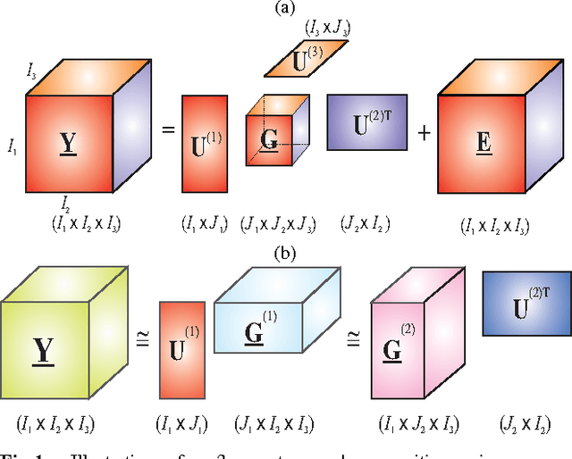 Figure 1 for Tensor Decompositions: A New Concept in Brain Data Analysis?