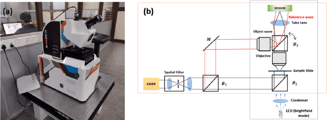 Figure 3 for Quantification of Pollen Viability in Lantana camara By Digital Holographic Microscopy