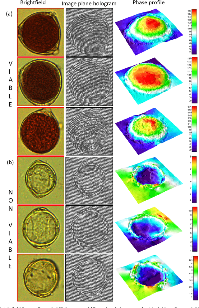 Figure 4 for Quantification of Pollen Viability in Lantana camara By Digital Holographic Microscopy