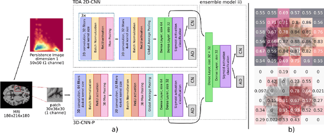 Figure 1 for Image analysis for Alzheimer's disease prediction: Embracing pathological hallmarks for model architecture design
