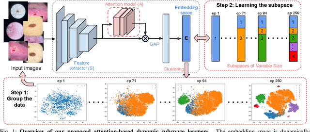 Figure 1 for Attention-based Dynamic Subspace Learners for Medical Image Analysis