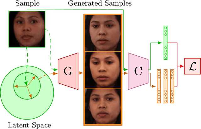 Figure 1 for Deep Generative Views to Mitigate Gender Classification Bias Across Gender-Race Groups
