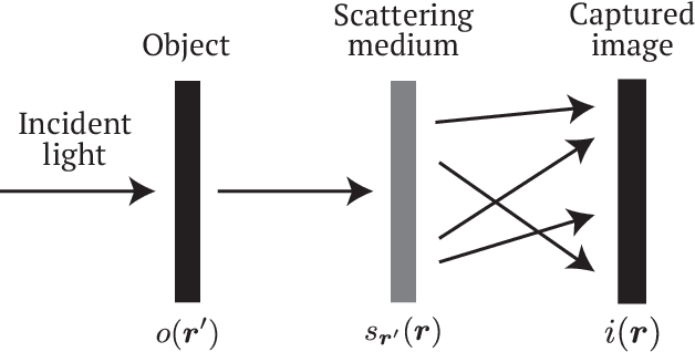Figure 1 for Extended field-of-view speckle-correlation imaging by estimating autocorrelation