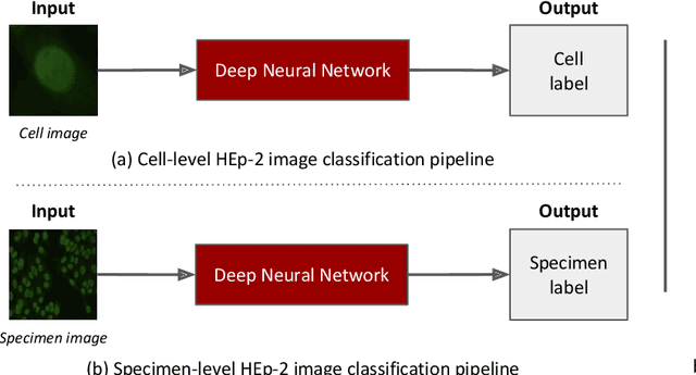 Figure 4 for Deep Learning based HEp-2 Image Classification: A Comprehensive Review