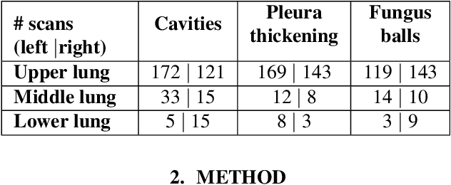 Figure 1 for SAPSAM - Sparsely Annotated Pathological Sign Activation Maps - A novel approach to train Convolutional Neural Networks on lung CT scans using binary labels only
