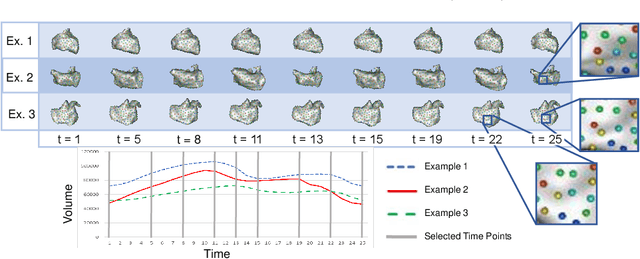 Figure 3 for Spatiotemporal Cardiac Statistical Shape Modeling: A Data-Driven Approach