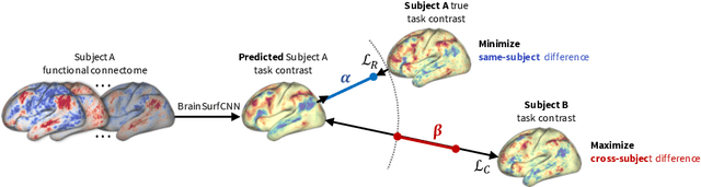 Figure 1 for From Connectomic to Task-evoked Fingerprints: Individualized Prediction of Task Contrasts from Resting-state Functional Connectivity