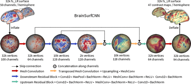 Figure 3 for From Connectomic to Task-evoked Fingerprints: Individualized Prediction of Task Contrasts from Resting-state Functional Connectivity