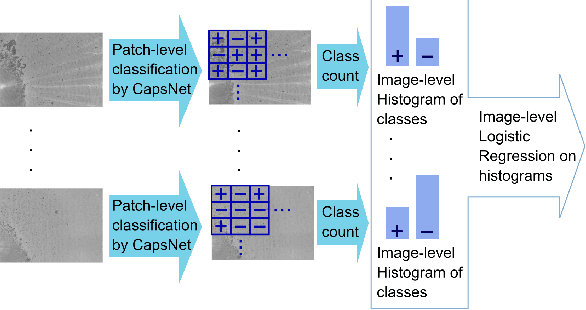 Figure 1 for Using Capsule Neural Network to predict Tuberculosis in lens-free microscopic images