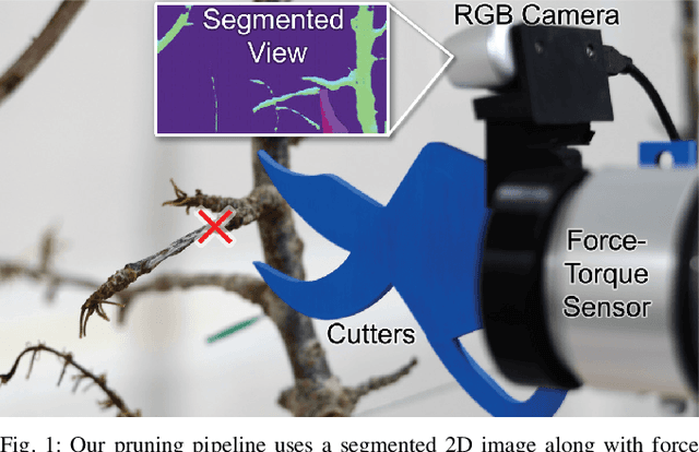 Figure 1 for Precision fruit tree pruning using a learned hybrid vision/interaction controller