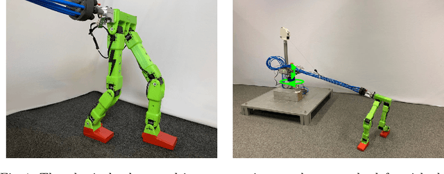 Figure 1 for Ankle Joints Are Beneficial When Optimizing Supported Real-world Bipedal Robot Gaits