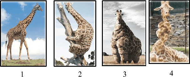 Figure 1 for Sparse Coding: A Deep Learning using Unlabeled Data for High - Level Representation