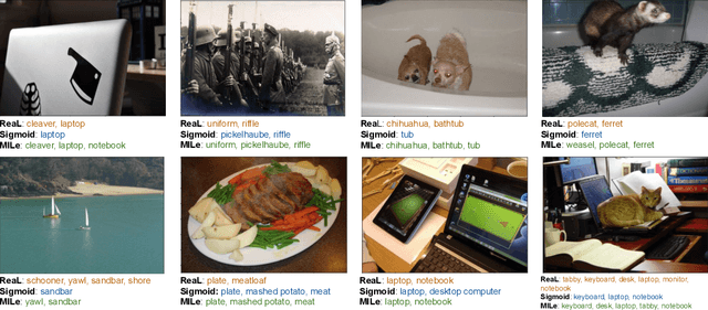 Figure 3 for Multi-label Iterated Learning for Image Classification with Label Ambiguity