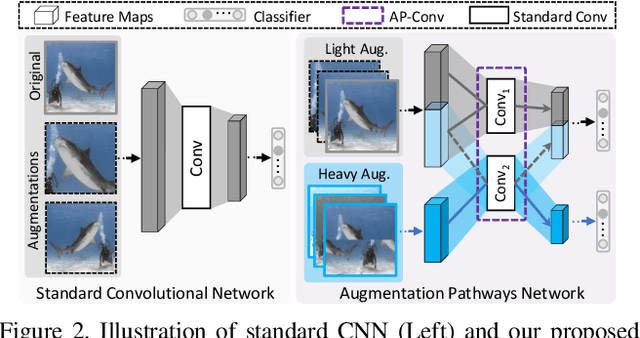 Figure 3 for Augmentation Pathways Network for Visual Recognition
