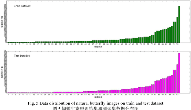 Figure 4 for The Automatic Identification of Butterfly Species