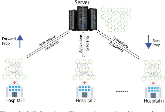 Figure 3 for Comparison of Privacy-Preserving Distributed Deep Learning Methods in Healthcare