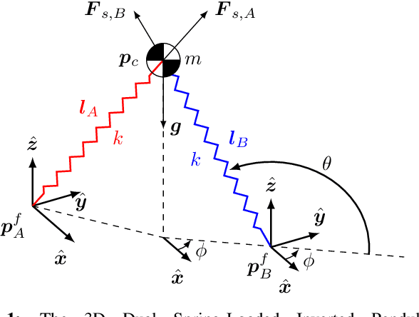 Figure 1 for Robust Dynamic Walking for a 3D Dual-SLIP Model under One-Step Unilateral Stiffness Perturbations: Towards Bipedal Locomotion over Compliant Terrain
