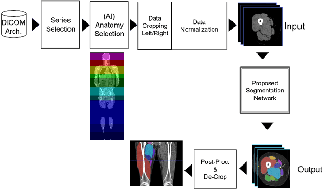 Figure 2 for Semantic Segmentation of Thigh Muscle using 2.5D Deep Learning Network Trained with Limited Datasets