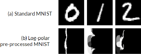 Figure 4 for Human eye inspired log-polar pre-processing for neural networks