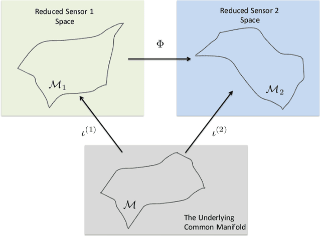 Figure 3 for Latent common manifold learning with alternating diffusion: analysis and applications
