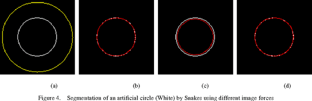 Figure 4 for A United Image Force for Deformable Models and Direct Transforming Geometric Active Contorus to Snakes by Level Sets