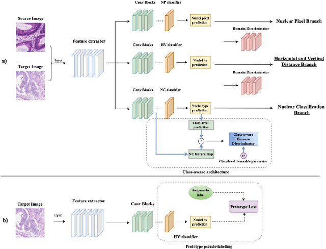 Figure 1 for Domain Adaptive Nuclei Instance Segmentation and Classification via Category-aware Feature Alignment and Pseudo-labelling