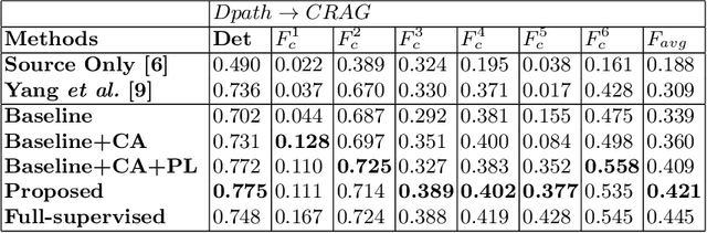 Figure 3 for Domain Adaptive Nuclei Instance Segmentation and Classification via Category-aware Feature Alignment and Pseudo-labelling