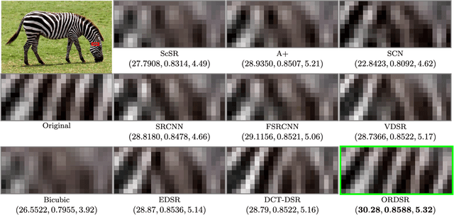 Figure 2 for Adaptive Transform Domain Image Super-resolution Via Orthogonally Regularized Deep Networks
