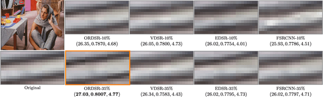 Figure 4 for Adaptive Transform Domain Image Super-resolution Via Orthogonally Regularized Deep Networks