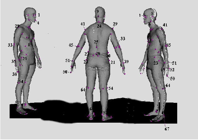 Figure 1 for Retrieval and Clustering from a 3D Human Database based on Body and Head Shape