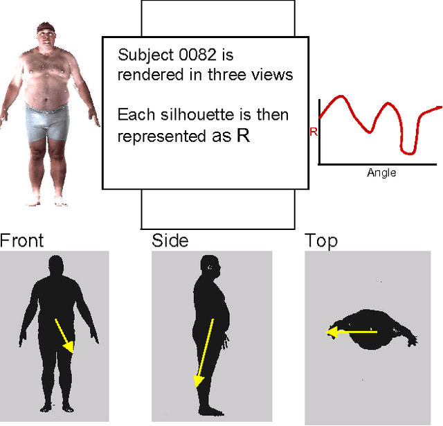 Figure 2 for Retrieval and Clustering from a 3D Human Database based on Body and Head Shape