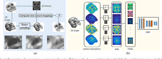 Figure 1 for Learned 3D Shape Representations Using Fused Geometrically Augmented Images: Application to Facial Expression and Action Unit Detection