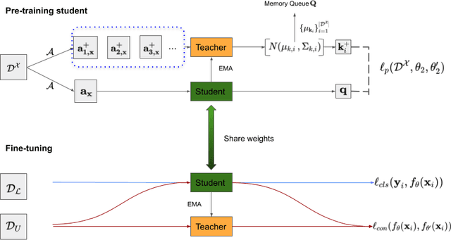 Figure 1 for Self-supervised Mean Teacher for Semi-supervised Chest X-ray Classification