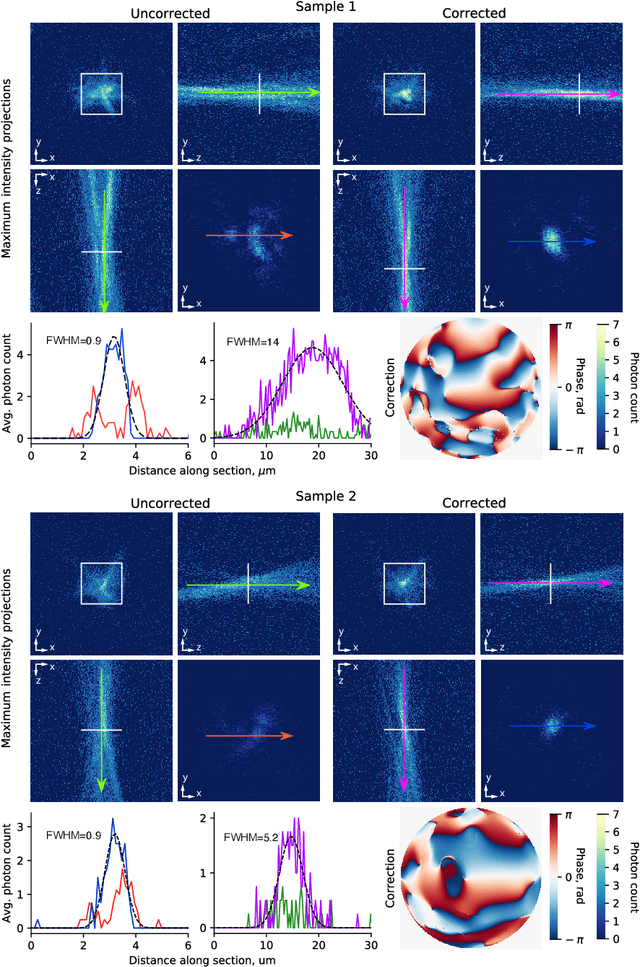 Figure 3 for Differentiable model-based adaptive optics for two-photon microscopy