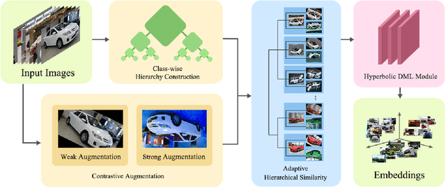 Figure 3 for Adaptive Hierarchical Similarity Metric Learning with Noisy Labels